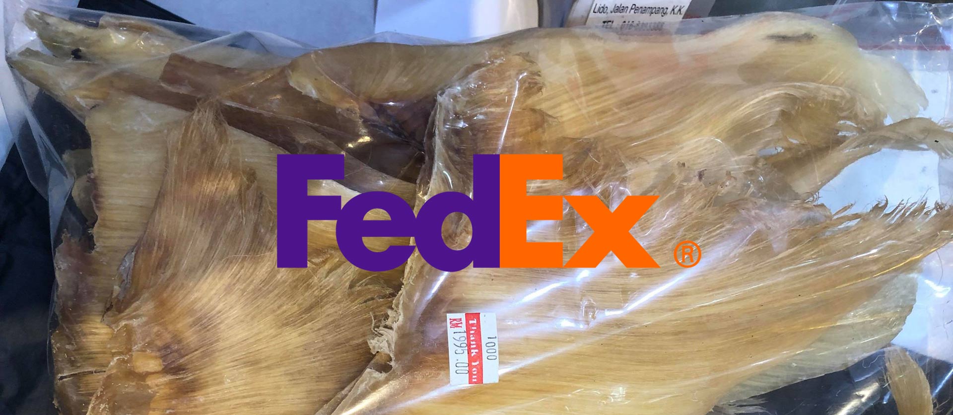 Shark Fins Sabah Fedex