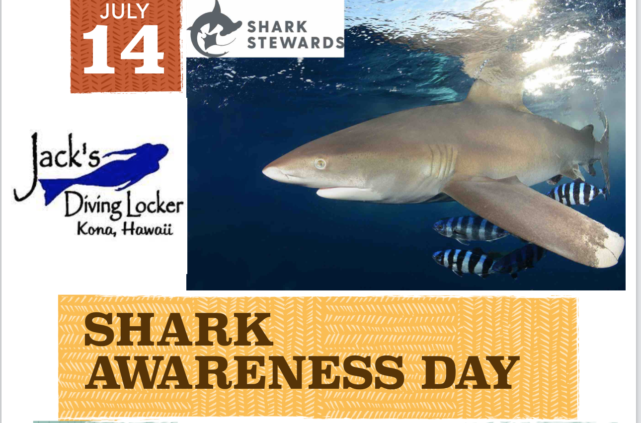 Shark Day