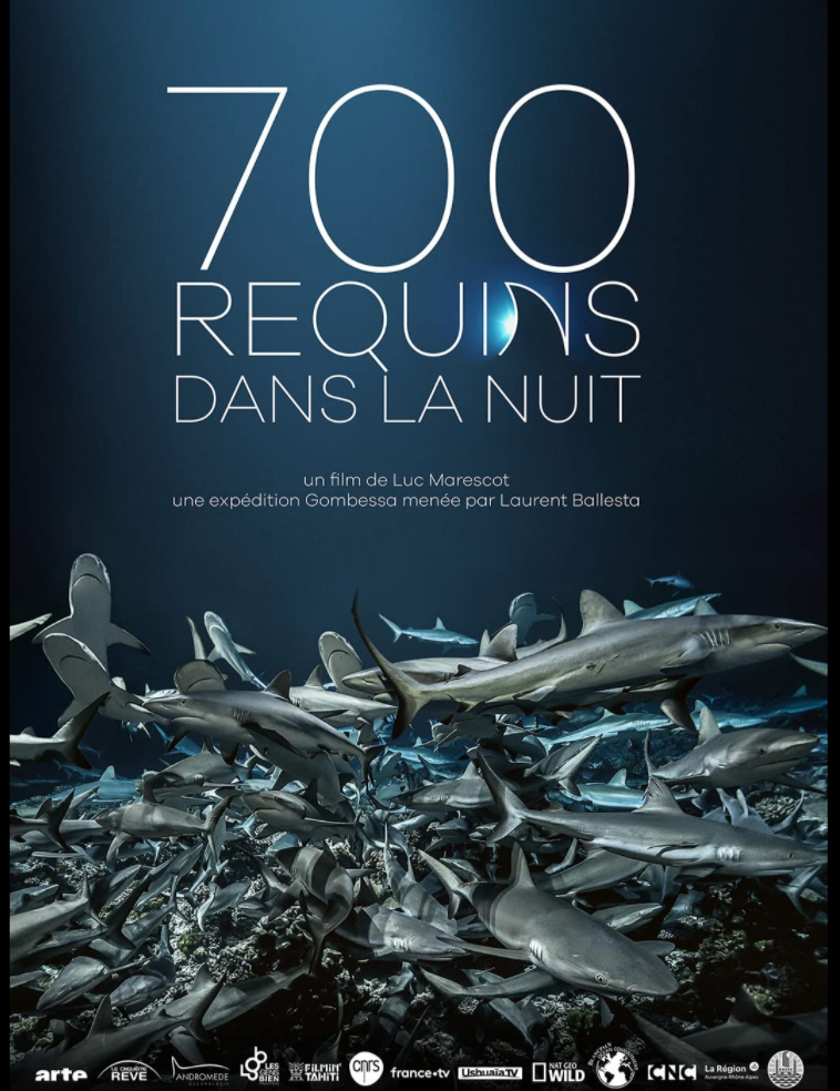 700 Sharks