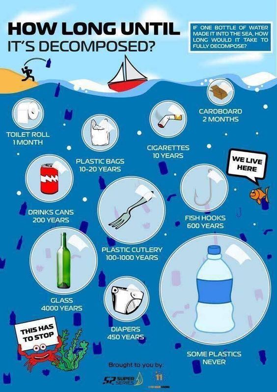 Plastic Infograph