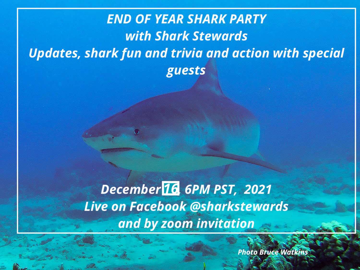Shark Event
