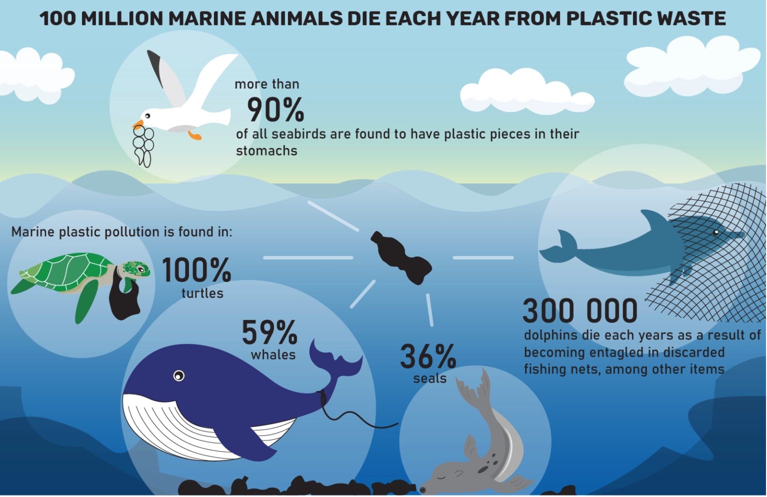 Marine life plastic
