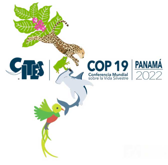 COP19
