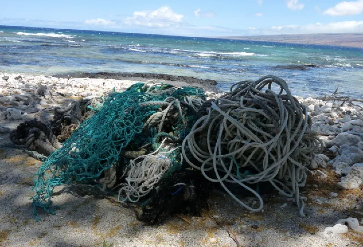 Rope and nets