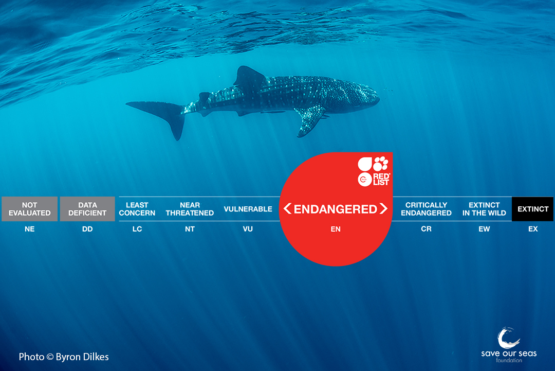 News20200830 iucnim byrondilkescopyright