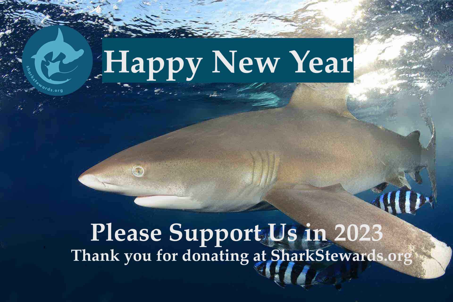 Oceanic Whitetip Logo copy