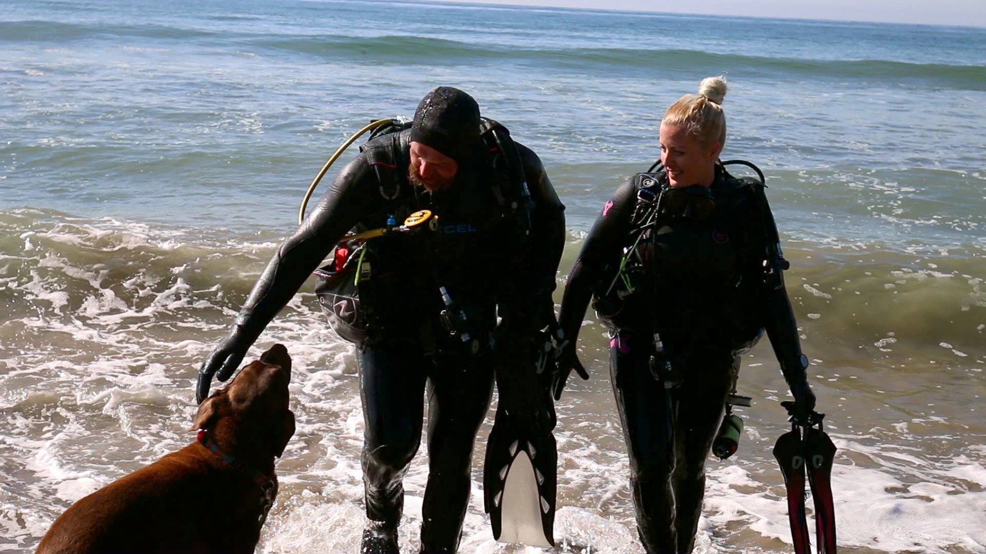 The Jet Lagged exit ocean in dive gear