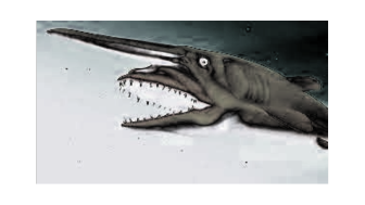 Goblin Shark stylized