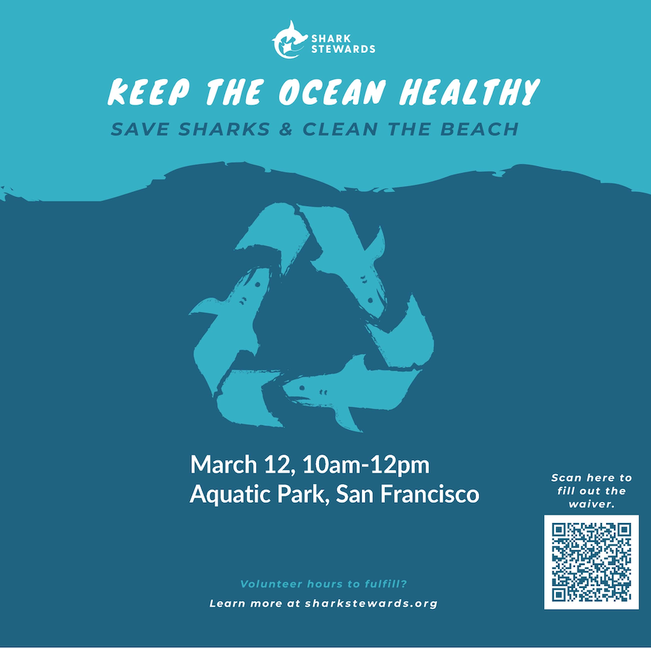 Beach cleanup 2/12
