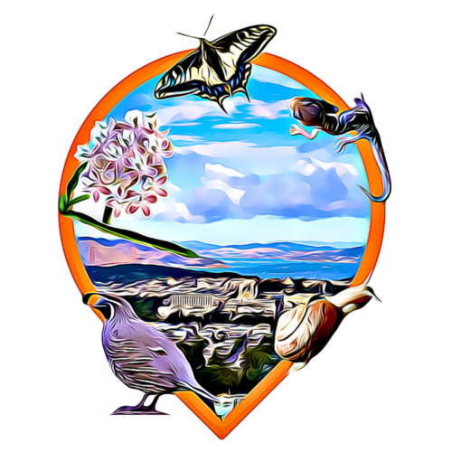 No words transparent 1 500x500