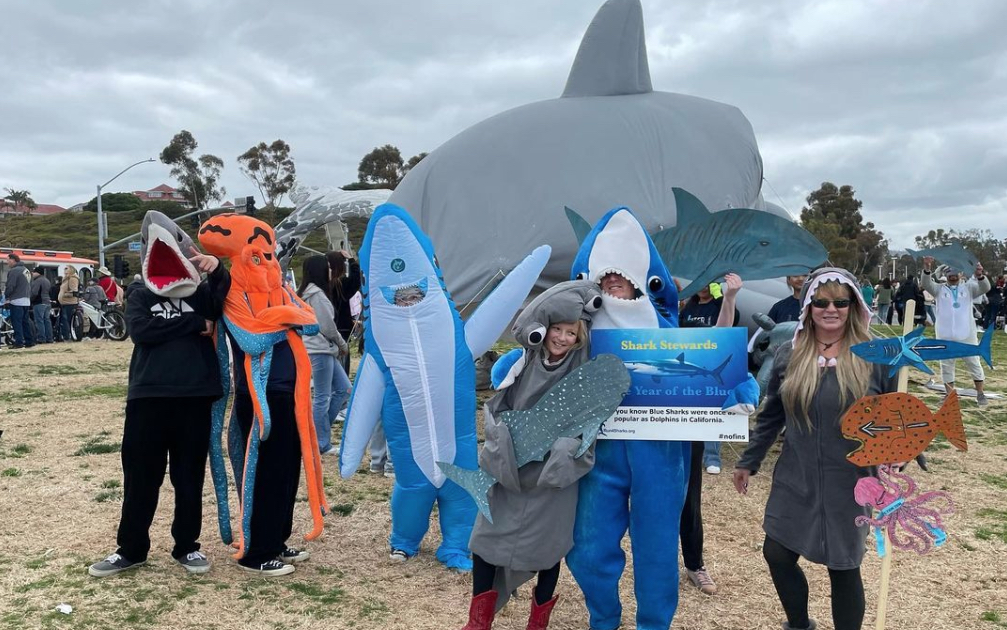 Shark group whale fest