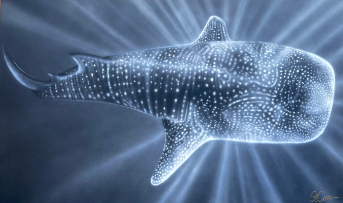 Save the sharks- whales shark paining