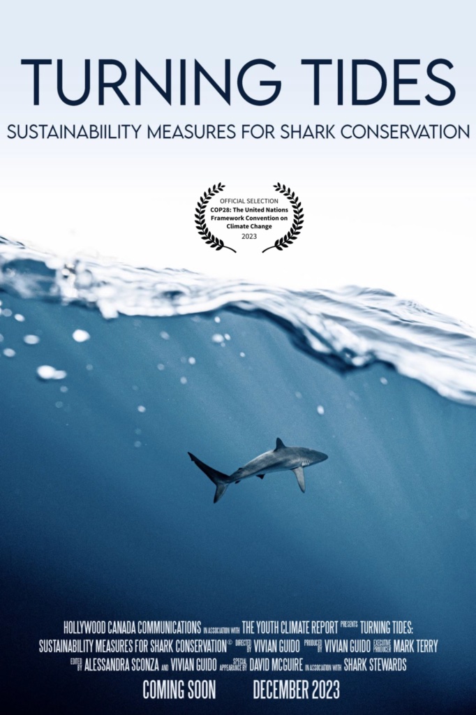 Turning Tides Poster Small