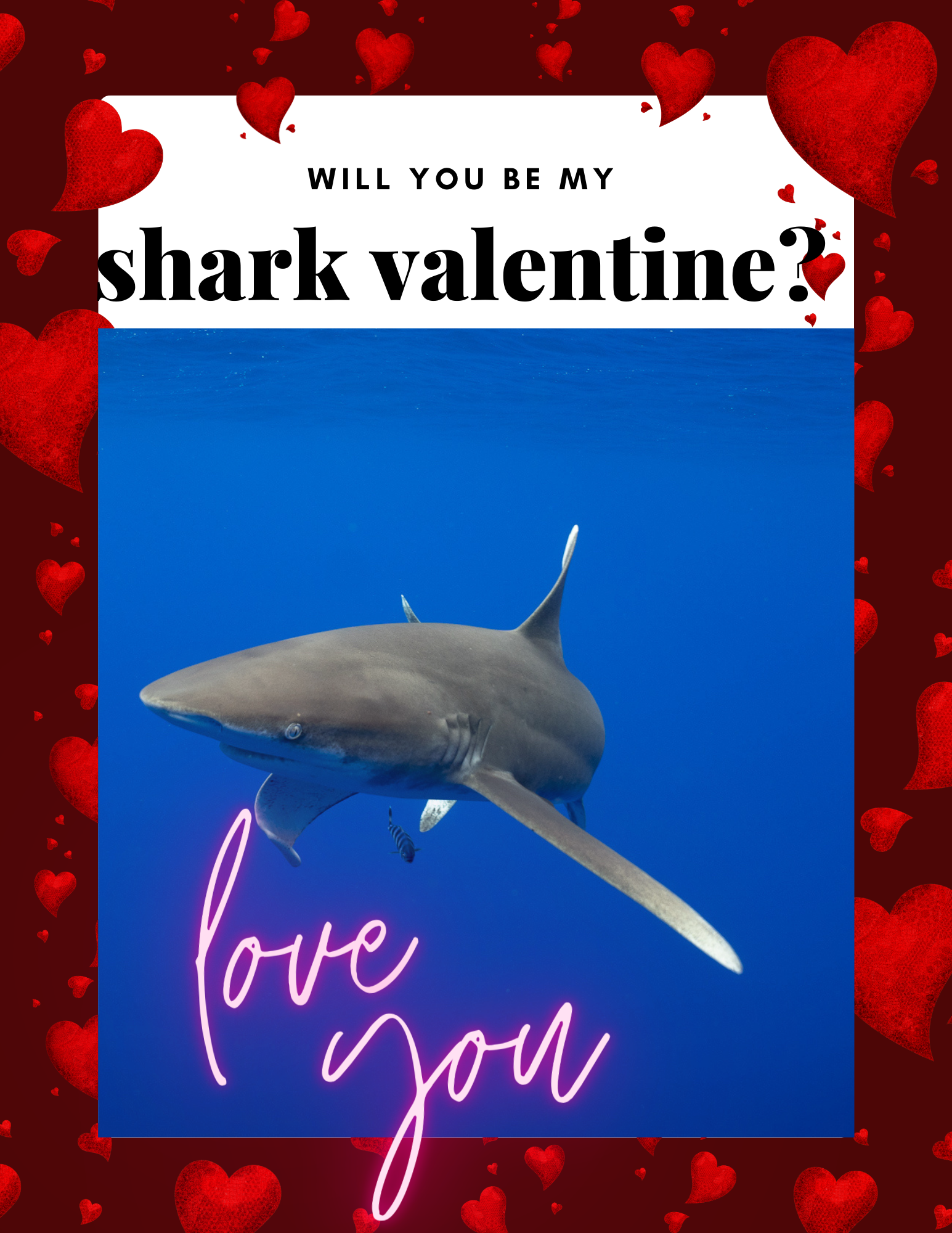 Shark Valentine
