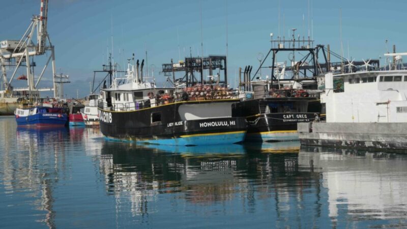 Boats at dock